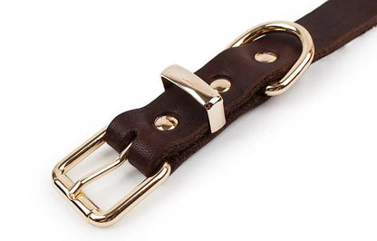 Elegant Leather Pet Collar - MANDOTOS