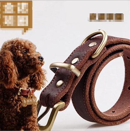 Elegant Leather Pet Collar - MANDOTOS