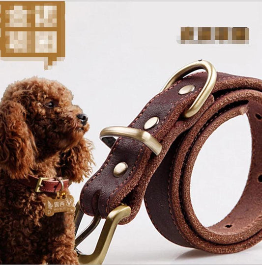 Elegant Leather Pet Collar - MANDOTOS