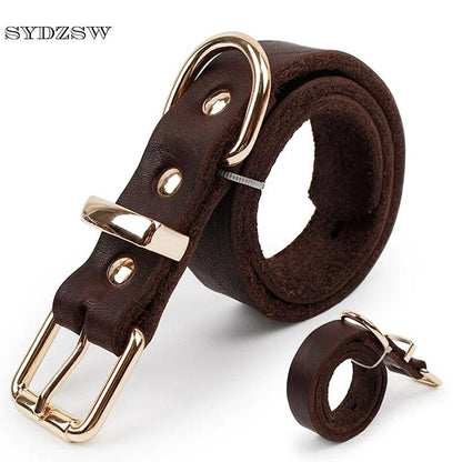 Elegant Leather Pet Collar - MANDOTOS