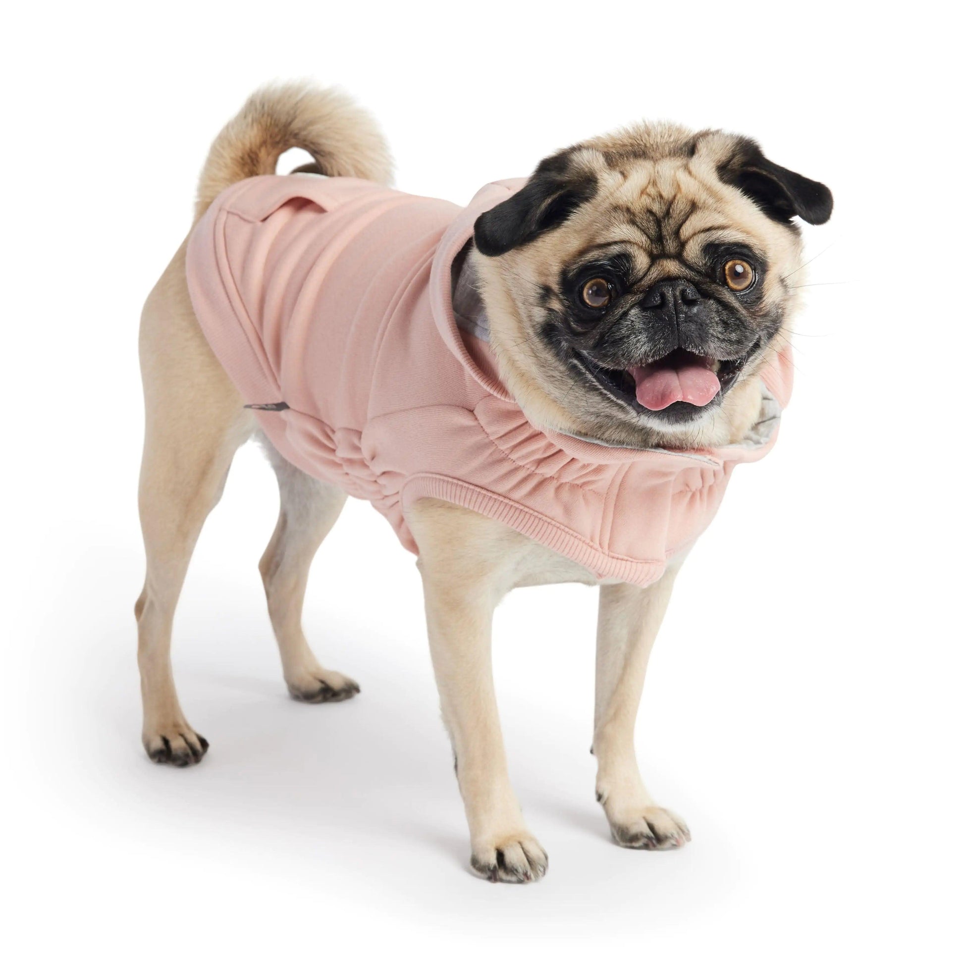 Flexi-Fit City Pup Hoodie - Pink - MANDOTOS