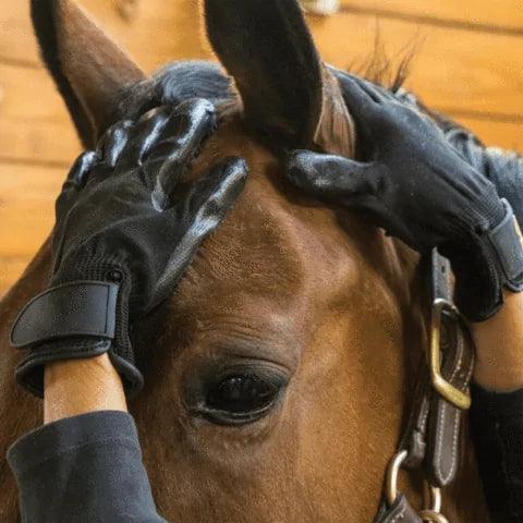 FurMaster Grooming Glove - MANDOTOS