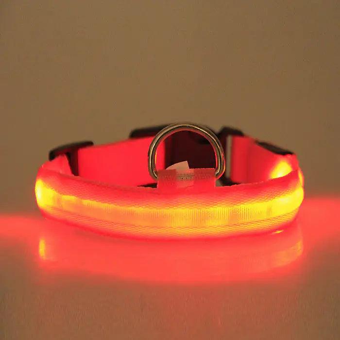 GlowGuard LED Pet Collar - MANDOTOS