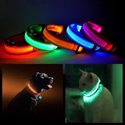 GlowGuard LED Pet Collar - MANDOTOS