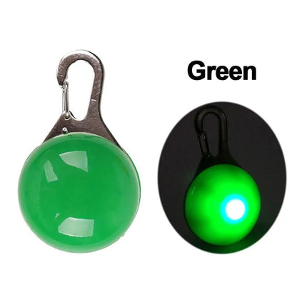 Glowing Night Safety Pet Collar - MANDOTOS