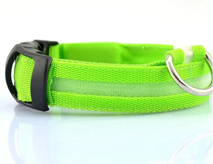 Glowing Night Safety Pet Collar - MANDOTOS