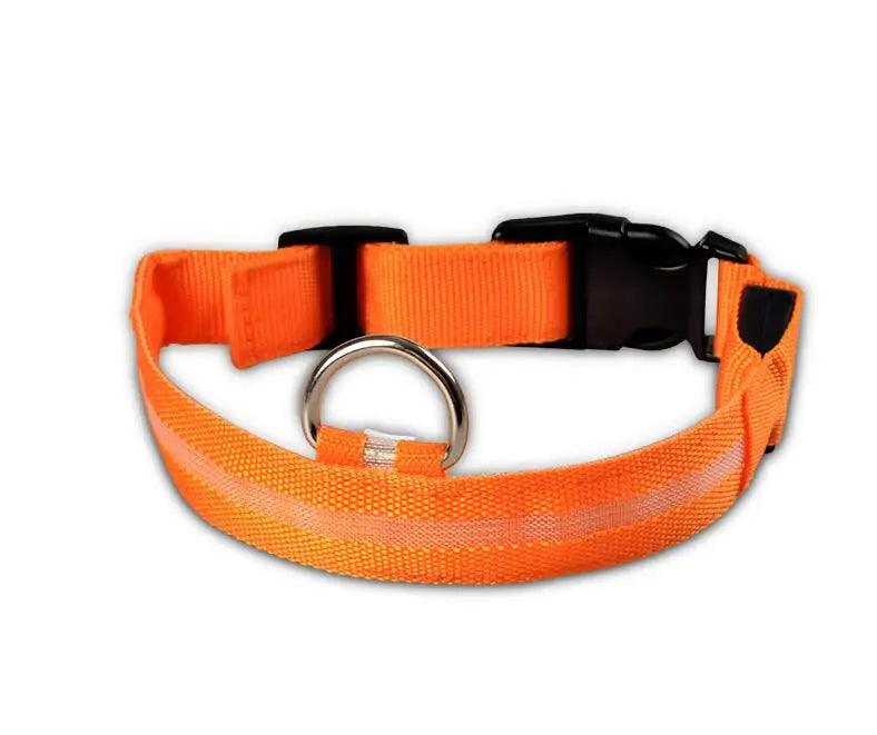 Glowing Night Safety Pet Collar - MANDOTOS