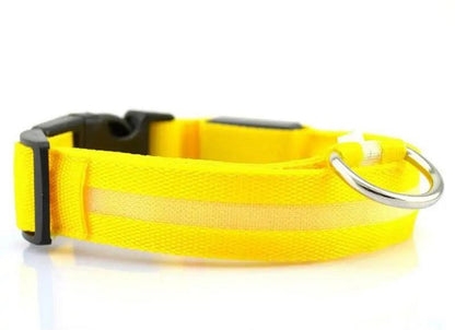 Glowing Night Safety Pet Collar - MANDOTOS
