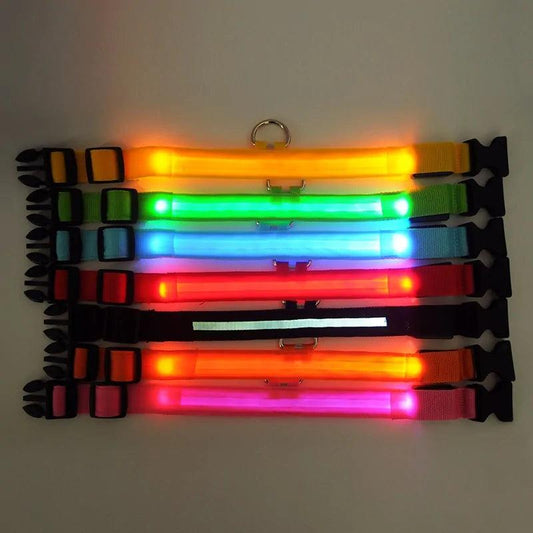 Glowing Night Safety Pet Collar - MANDOTOS