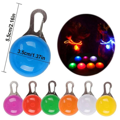 Glowing Night Safety Pet Collar - MANDOTOS