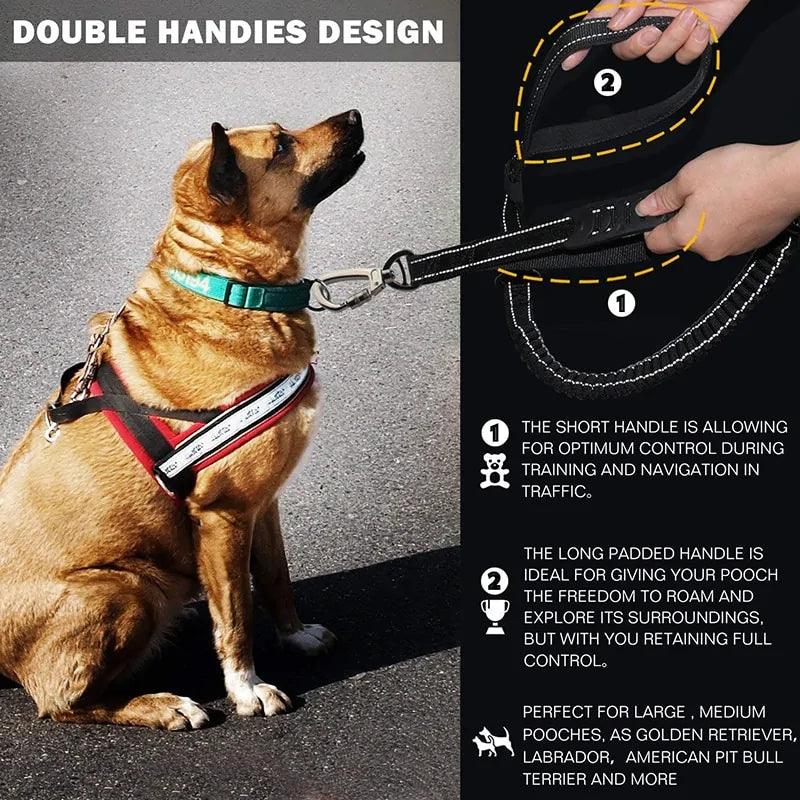 Glowing Nighttime Dog Leash - MANDOTOS