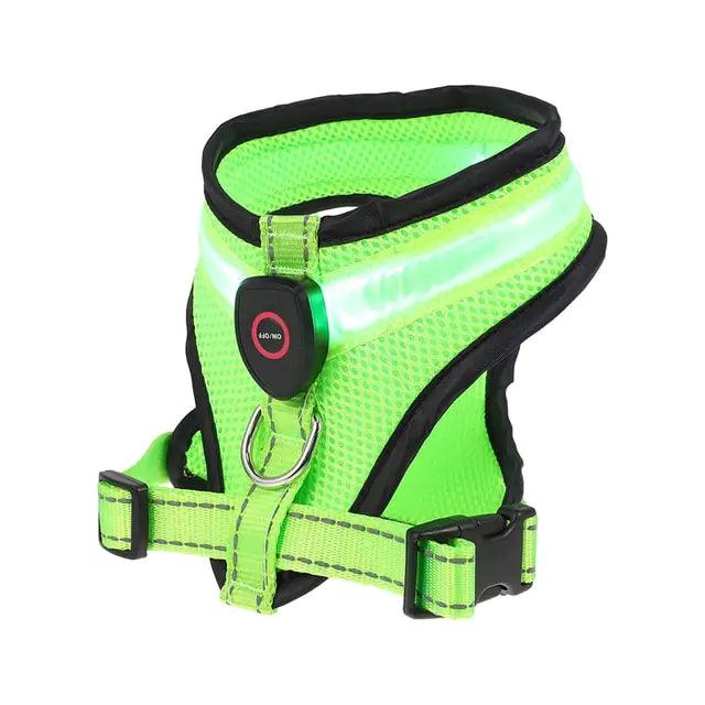 Glowing Pup Safety Harness - MANDOTOS