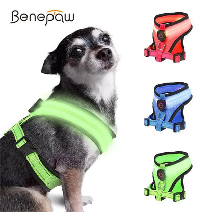 Glowing Pup Safety Harness - MANDOTOS