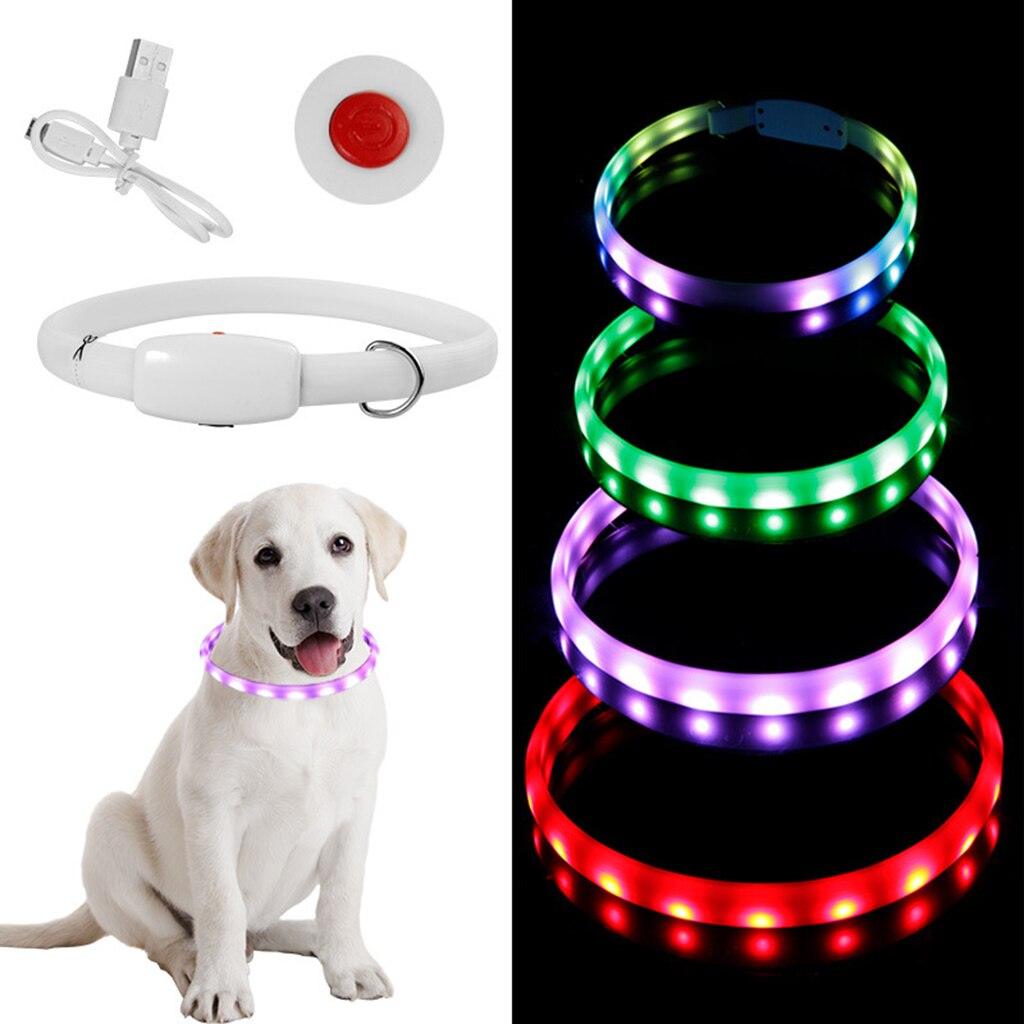 GlowSafe Dog Collar - MANDOTOS