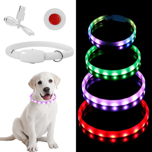 GlowSafe Dog Collar - MANDOTOS