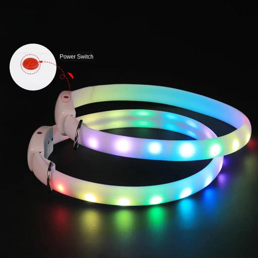 GlowSafe Dog Collar - MANDOTOS