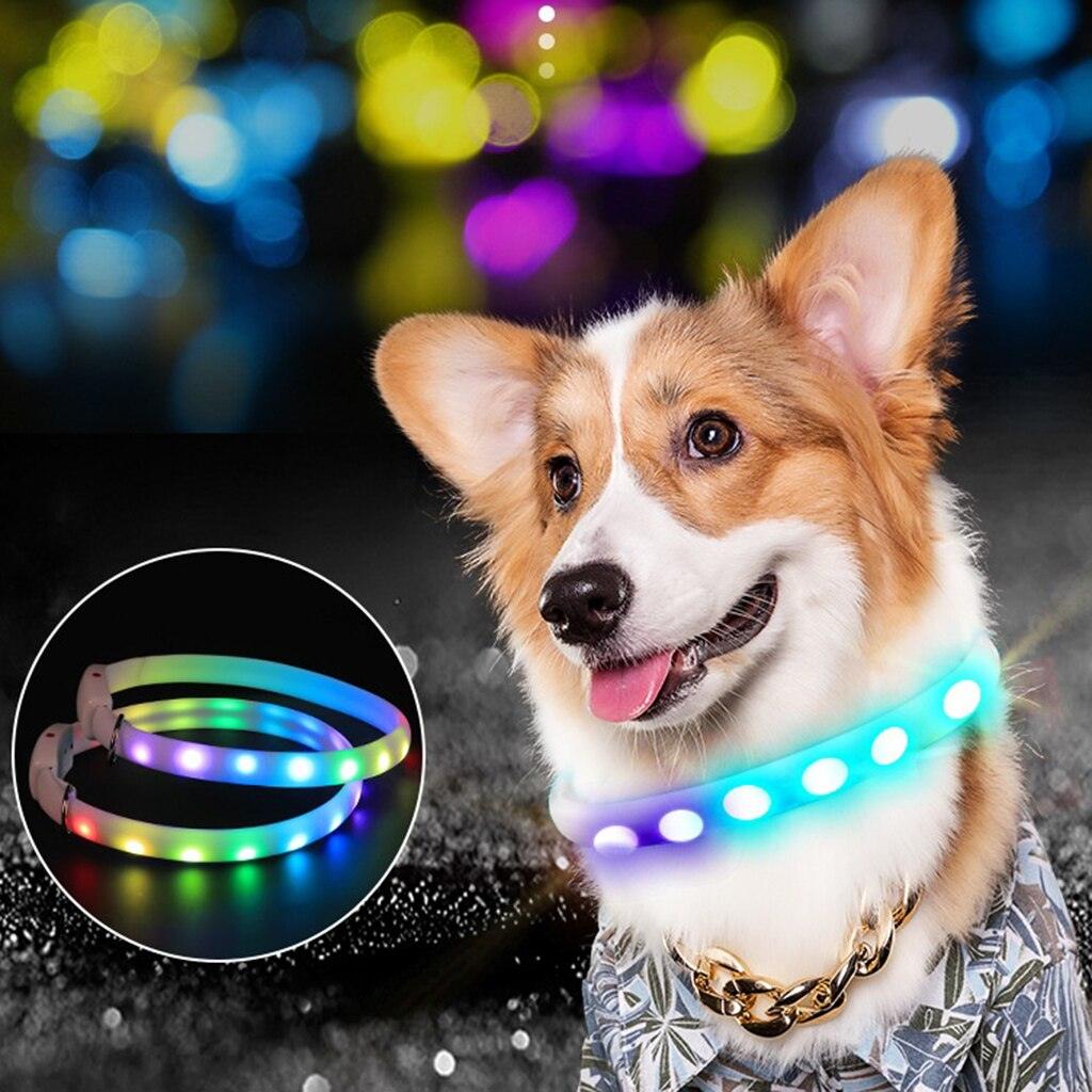 GlowSafe Dog Collar - MANDOTOS