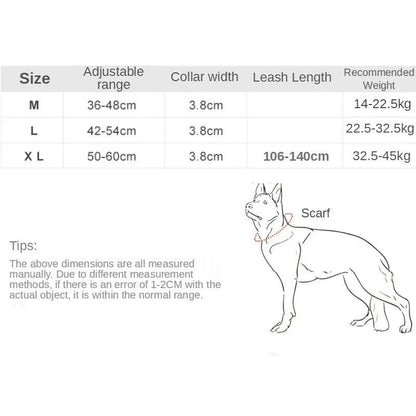 Rugged Canine Control Collar Set - MANDOTOS