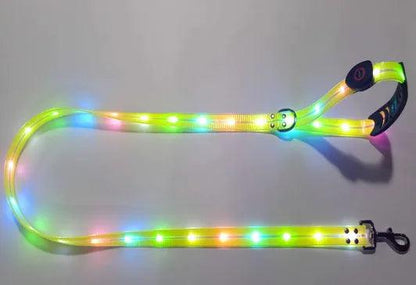 IllumiPup Safety Leash - MANDOTOS