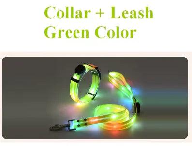 IllumiPup Safety Leash - MANDOTOS