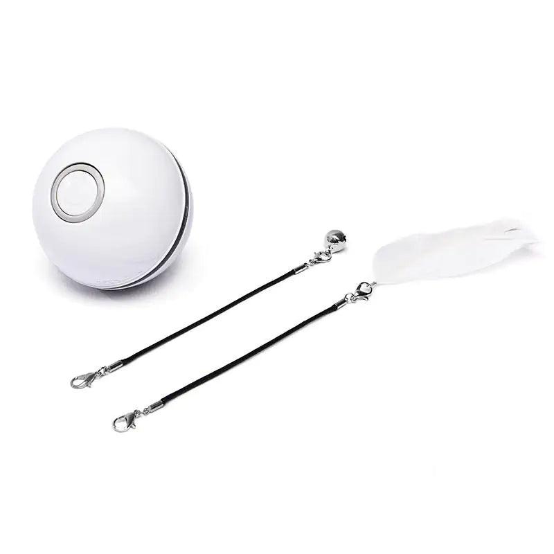 Laser LED Catnip Fun Ball - MANDOTOS