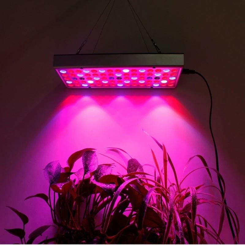 Mandotos LED plant supplement light for growing seedlings in greenhouses, providing optimal grow light for healthy plant development.