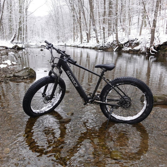 Mandotos electric mountain bike for adults with 26x4-inch fat tires, 1000W motor, 48V battery, suitable for trail riding and commuting.