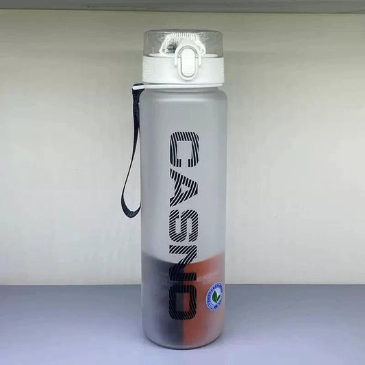 Mandotos Casino Frosted Sports Water Bottle, plastic portable bottle with lid, ideal for men and women, outdoor hydration.