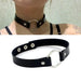 Mandotos chic leather collar with stylish design, adjustable buckle, and smooth leather finish for pets.