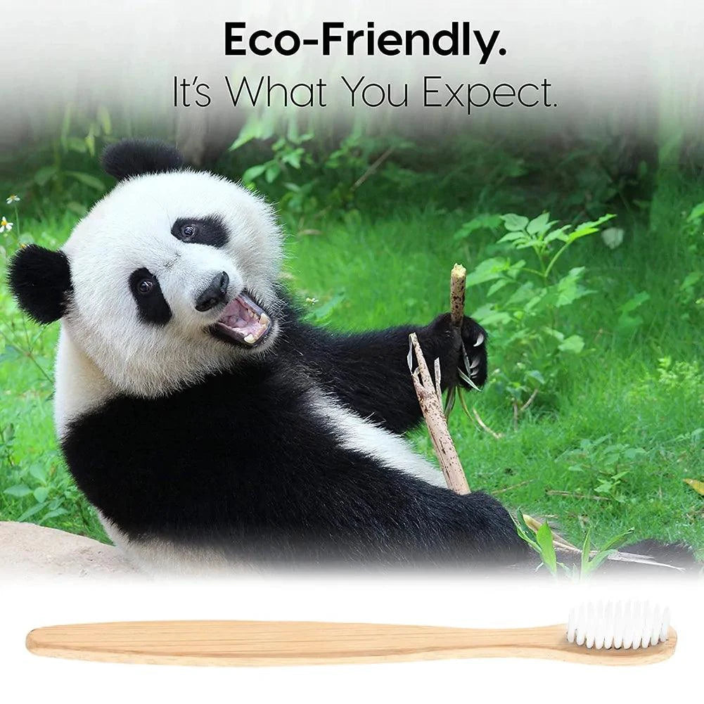 Mandotos EcoPure bamboo toothbrush with biodegradable handle and soft bristles, eco-friendly dental hygiene product.