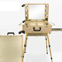 Mandotos International high-quality makeup travel rolling carry case with lights, cosmetic trolley suitcase for beauty essentials.