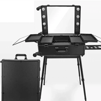 Mandotos International high-quality makeup travel rolling carry case with lights, compact cosmetic beauty trolley suitcase for travel.