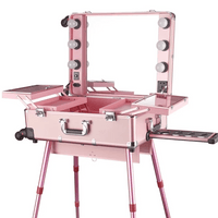 Mandotos International high-quality makeup travel rolling case with lights, cosmetic trolley with compartments for beauty essentials.