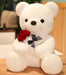 Mandotos Cuddly Rose Teddy Pillow with red rose detail and plush bear in 25, 35, or 45 cm size, soft and decorative.