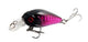 Bait - 7