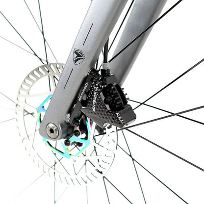 Mandotos Twitter 700x25c carbon road bicycle with wireless hydraulic disc brakes, 50mm carbon wheels, and EDS TX 24S shifter.