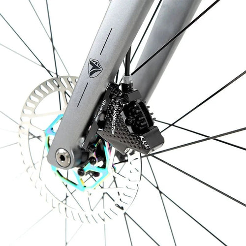 Mandotos Twitter 700x25c carbon road bicycle with wireless hydraulic disc brakes, 50mm carbon wheels, and EDS TX 24S shifter.
