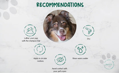 NatureBuddy Handcrafted Pet Soap, Oat 5.8 oz - MANDOTOS