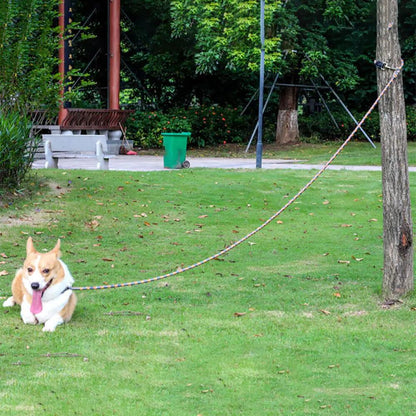 NightSafe Reflective Dog Leash - MANDOTOS