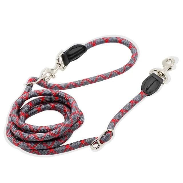 NightSafe Reflective Dog Leash - MANDOTOS