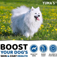 Omega 3 Chewables for Dog Coat & Skin Health - MANDOTOS
