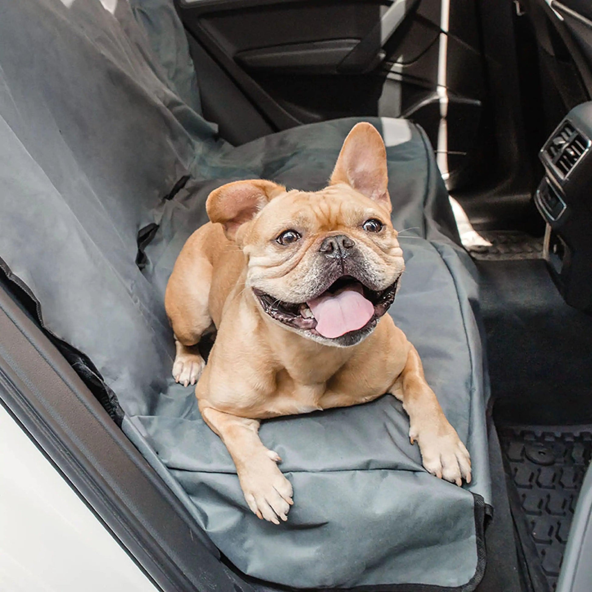 Pet Car Seat Protector - MANDOTOS