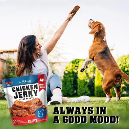 Premium Chicken Jerky Dog Snacks 1.5lb - MANDOTOS