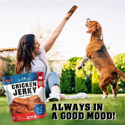 Premium Chicken Jerky Dog Snacks 1.5lb - MANDOTOS