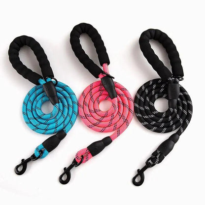 Premium Quality Nylon Leash - MANDOTOS