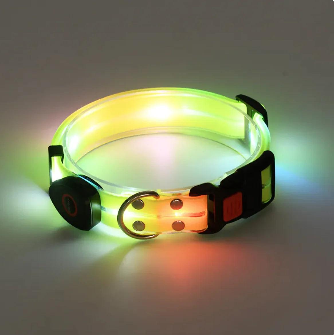 Rechargeable LED Pet Collar with Nylon Leash - MANDOTOS