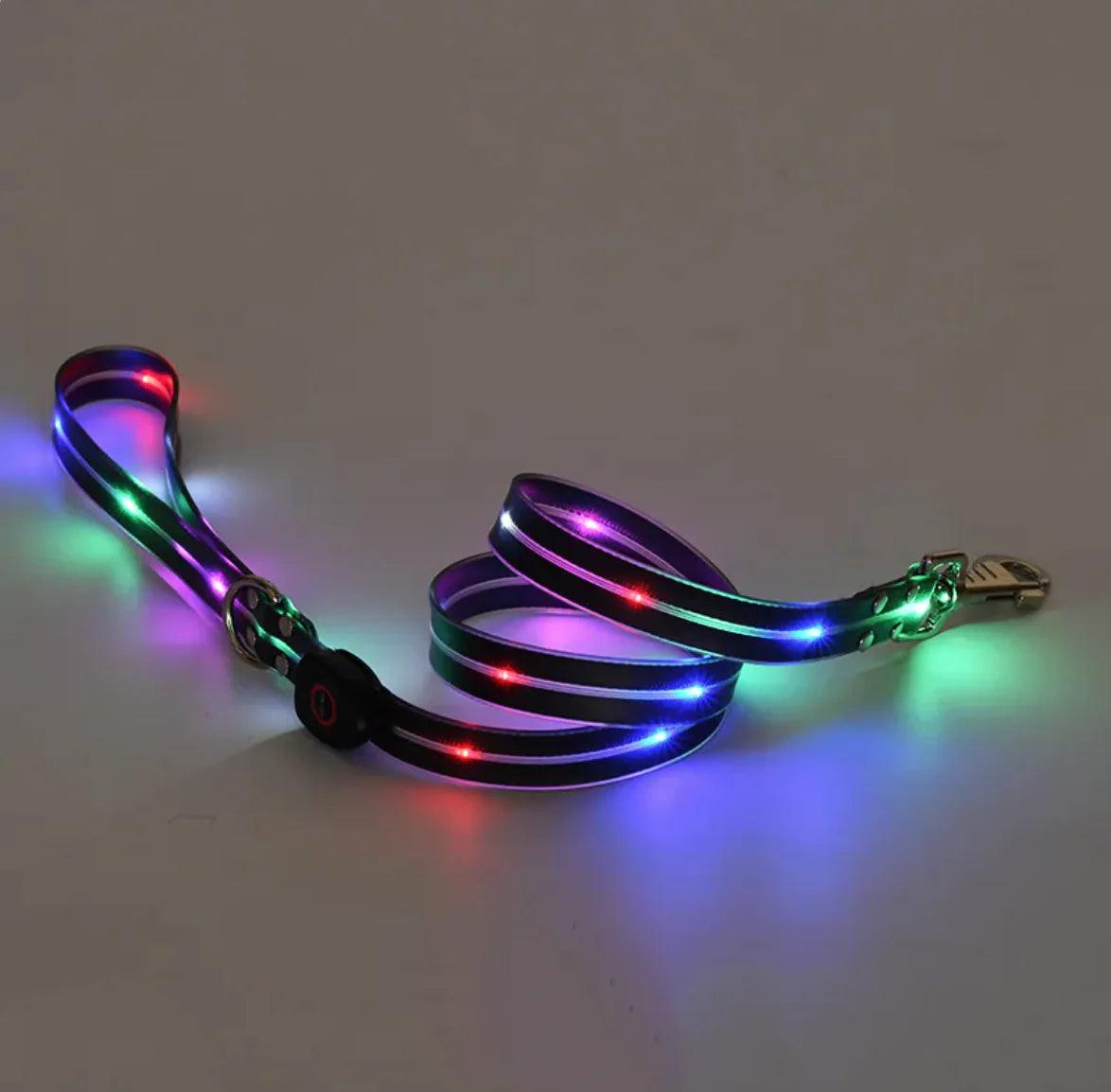 Rechargeable LED Pet Collar with Nylon Leash - MANDOTOS