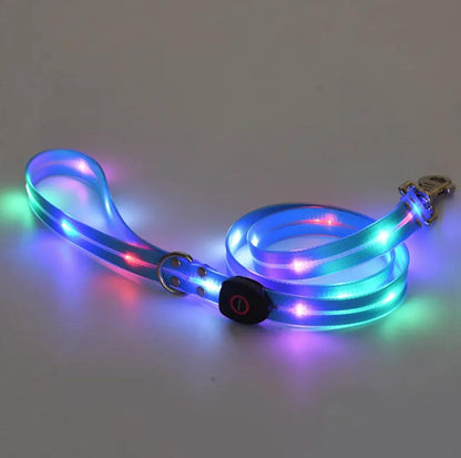 Rechargeable LED Pet Collar with Nylon Leash - MANDOTOS