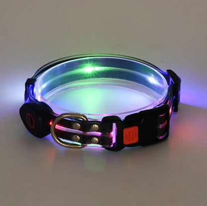 Rechargeable LED Pet Collar with Nylon Leash - MANDOTOS