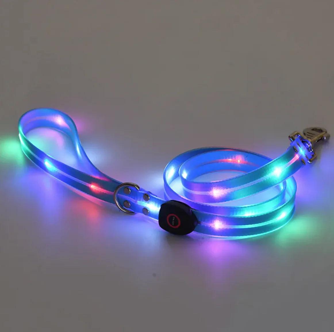 Rechargeable LED Pet Collar with Nylon Leash - MANDOTOS